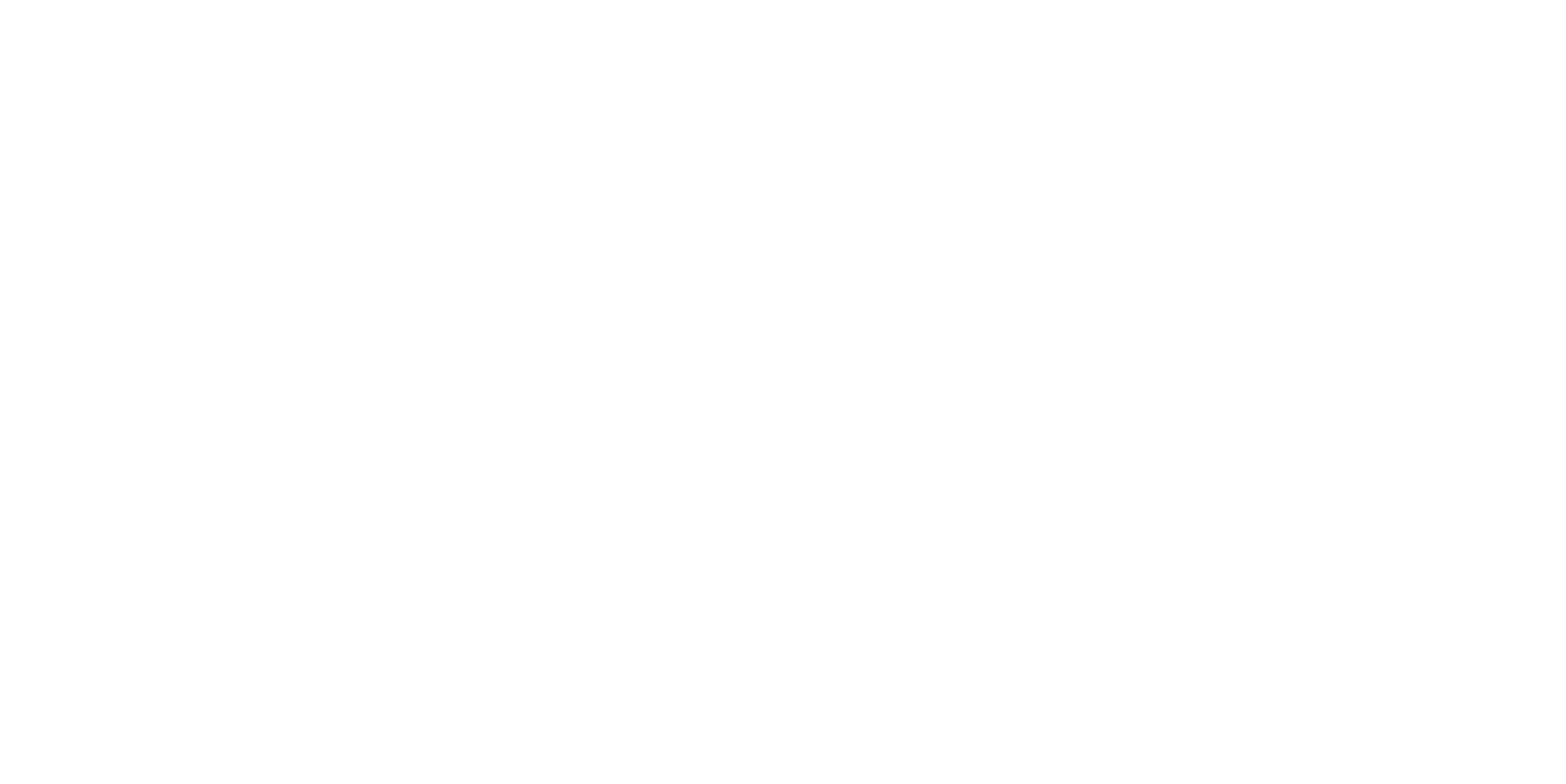 3SE